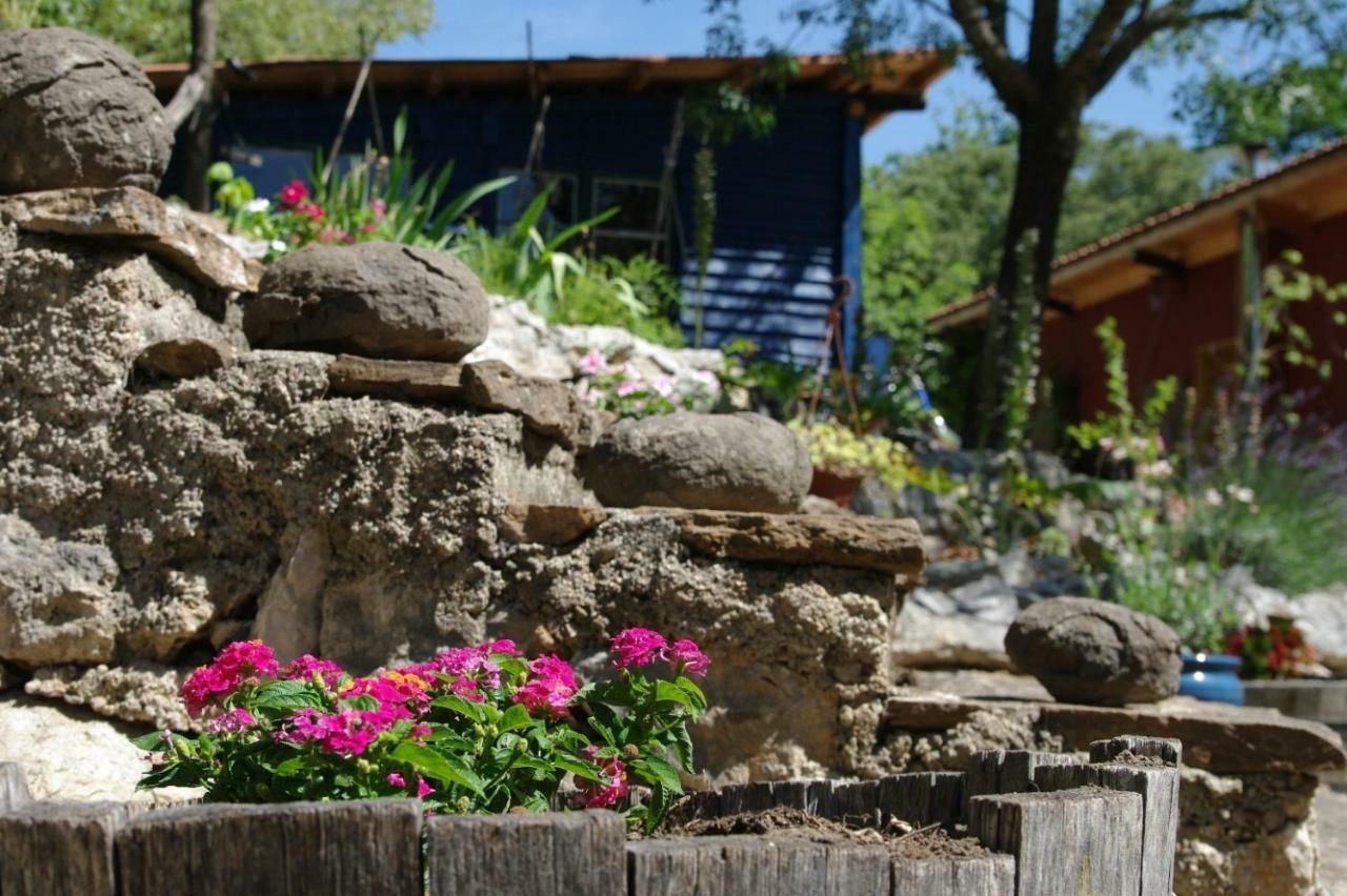 Mas De Font Chaude Bed & Breakfast Clermont-l'Herault Exterior photo